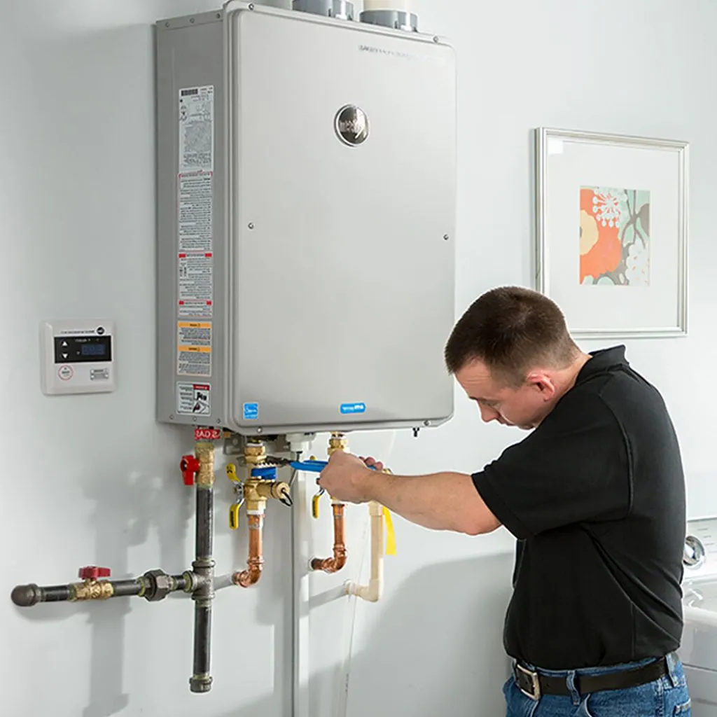 tankless water heater repair in Lindenwood, IL